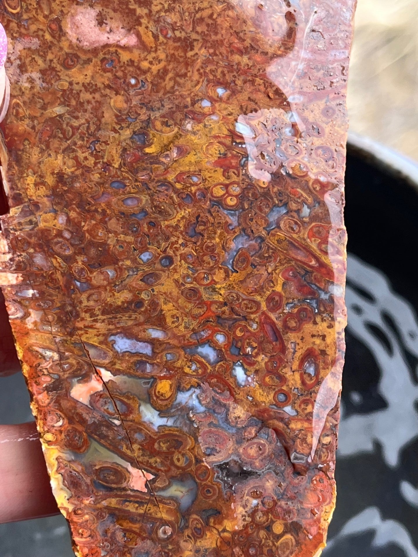 Indonesian Stromatolite lapidary slab stone