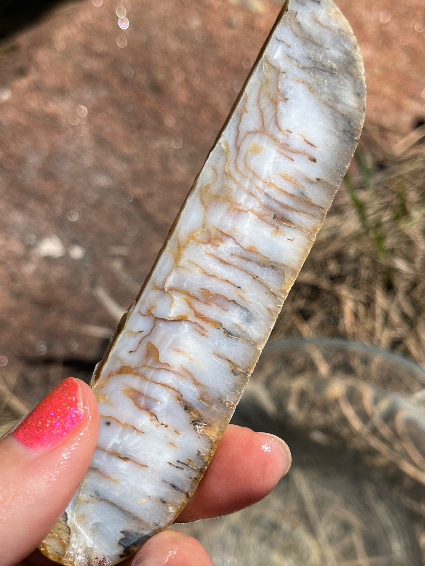 Mystery Agate Lapidary Slab