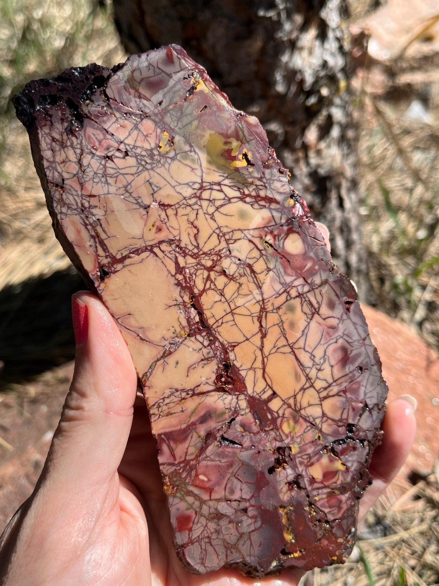 Mookaite Lapidary Slab Stone