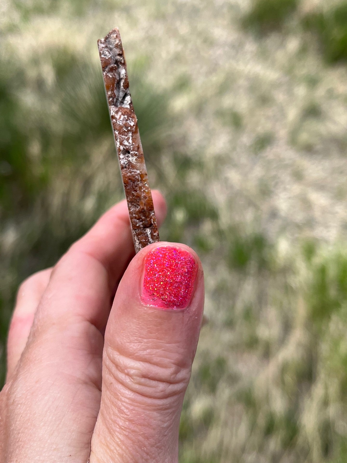 Moroccan Agate rust and white banding lapidary slab