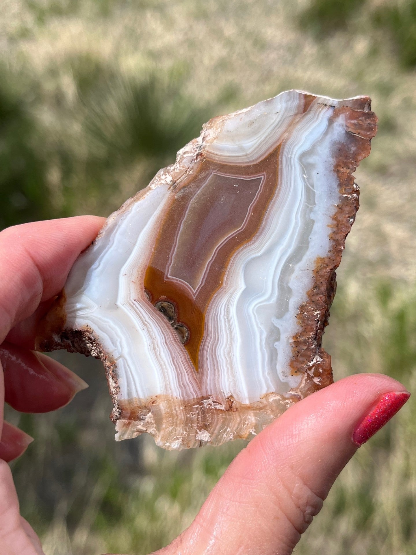 Moroccan Agate rust and white banding lapidary slab