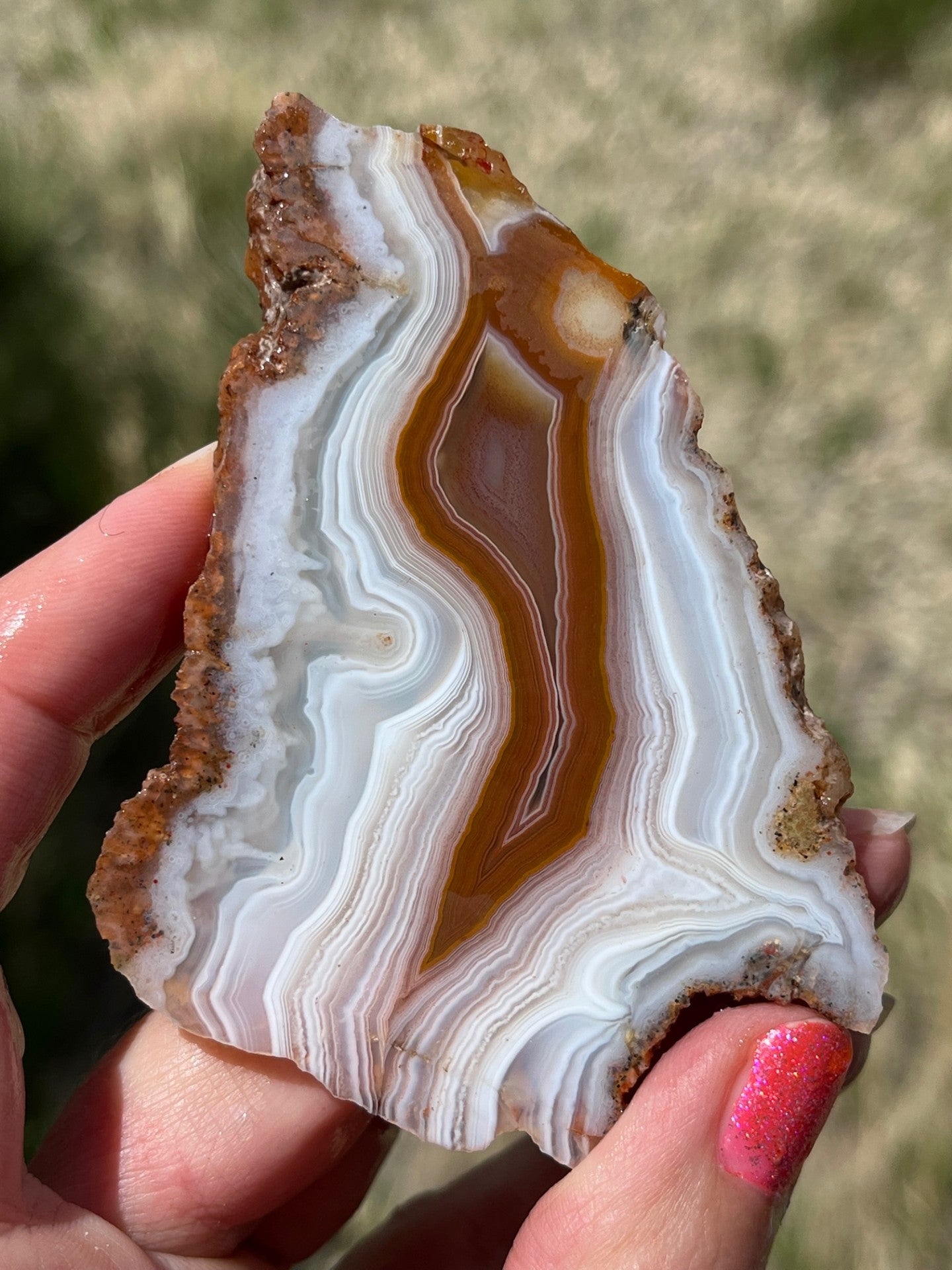 Moroccan Agate rust and white banding lapidary slab