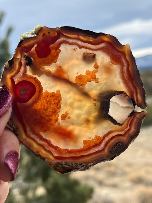 Milawi Agate Lapidary Slab