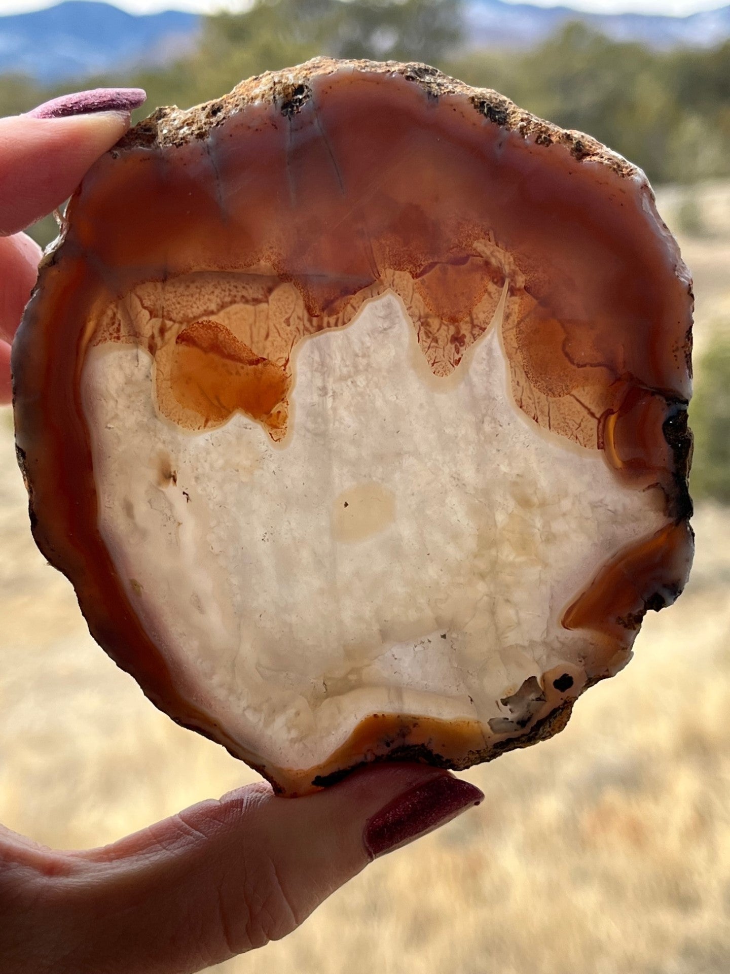 Milawi Agate lapidary slab slice