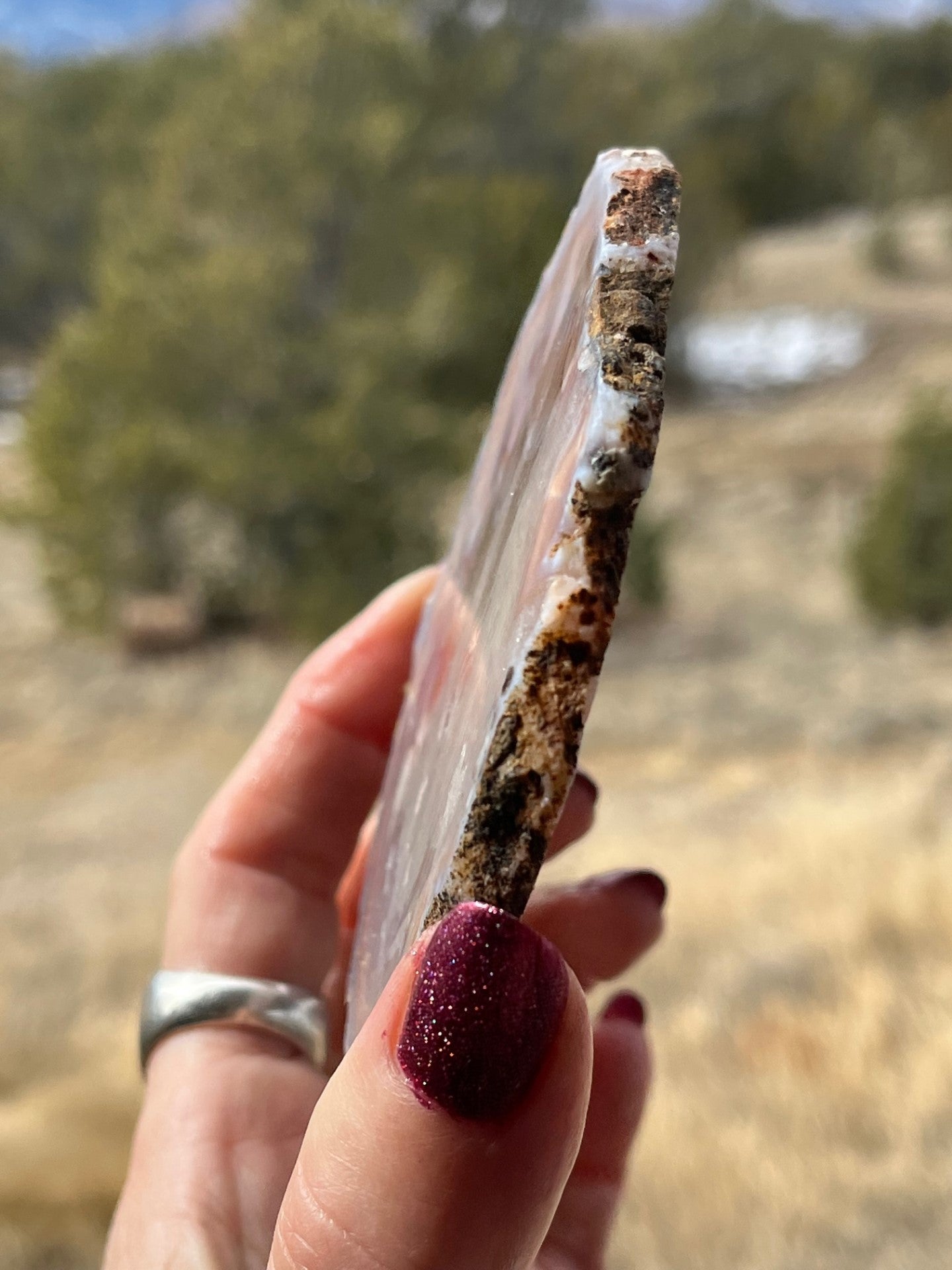 Milawi Agate lapidary slab slice