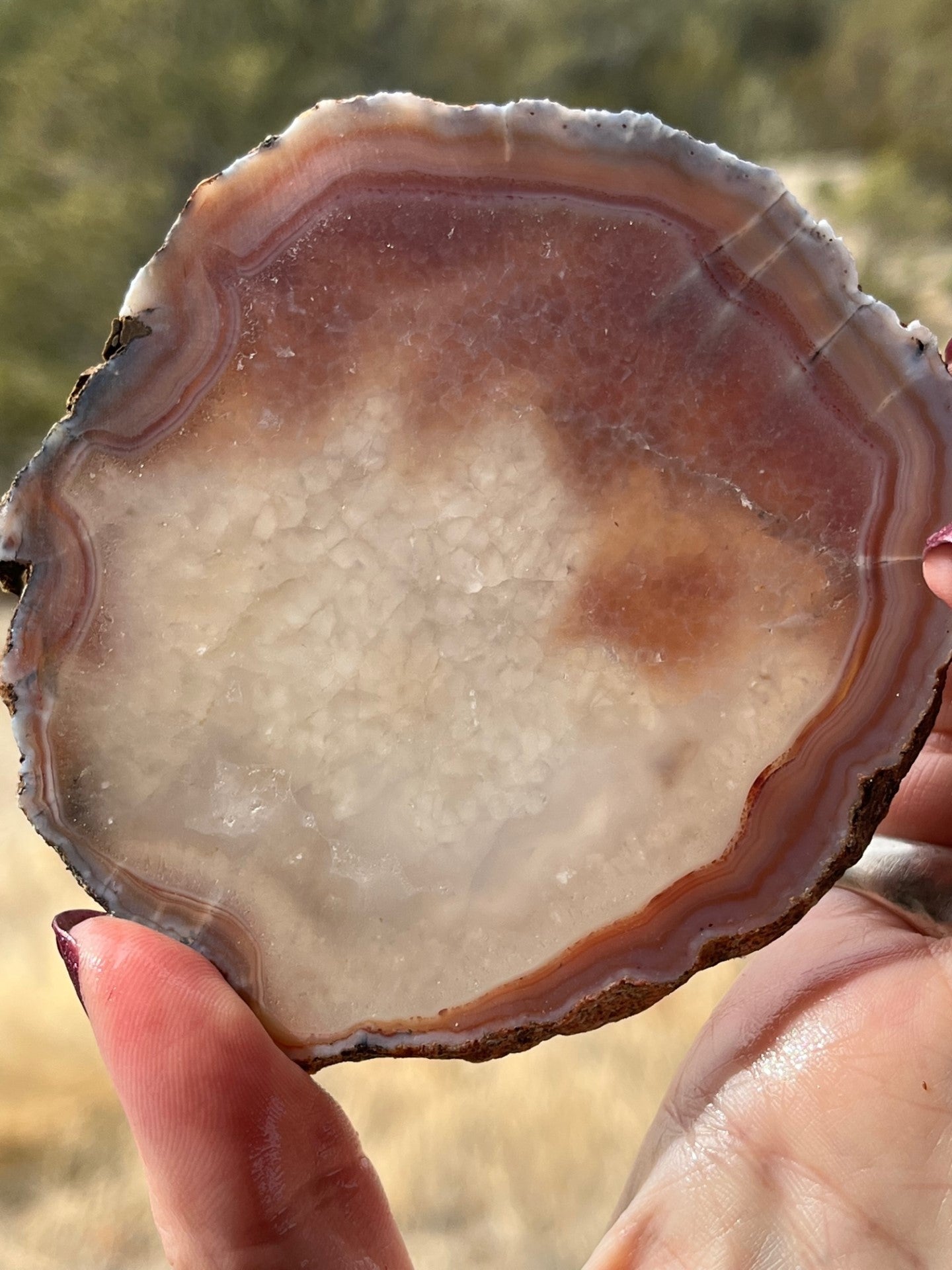 Milawi Agate lapidary slab slice