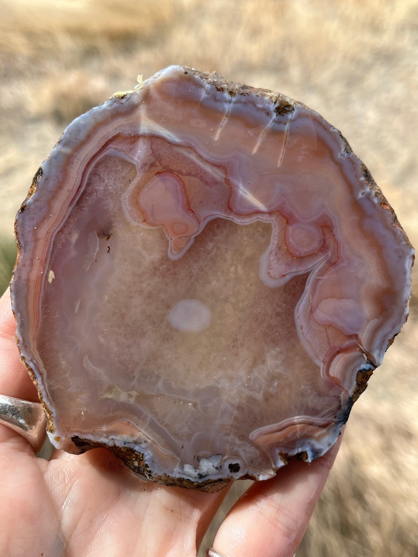 Milawi Agate lapidary slab slice