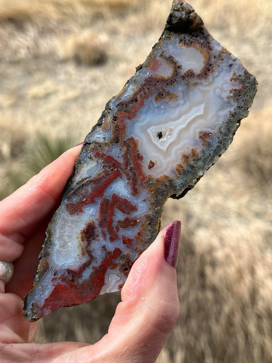 Moroccan agate lapidary slab red and white