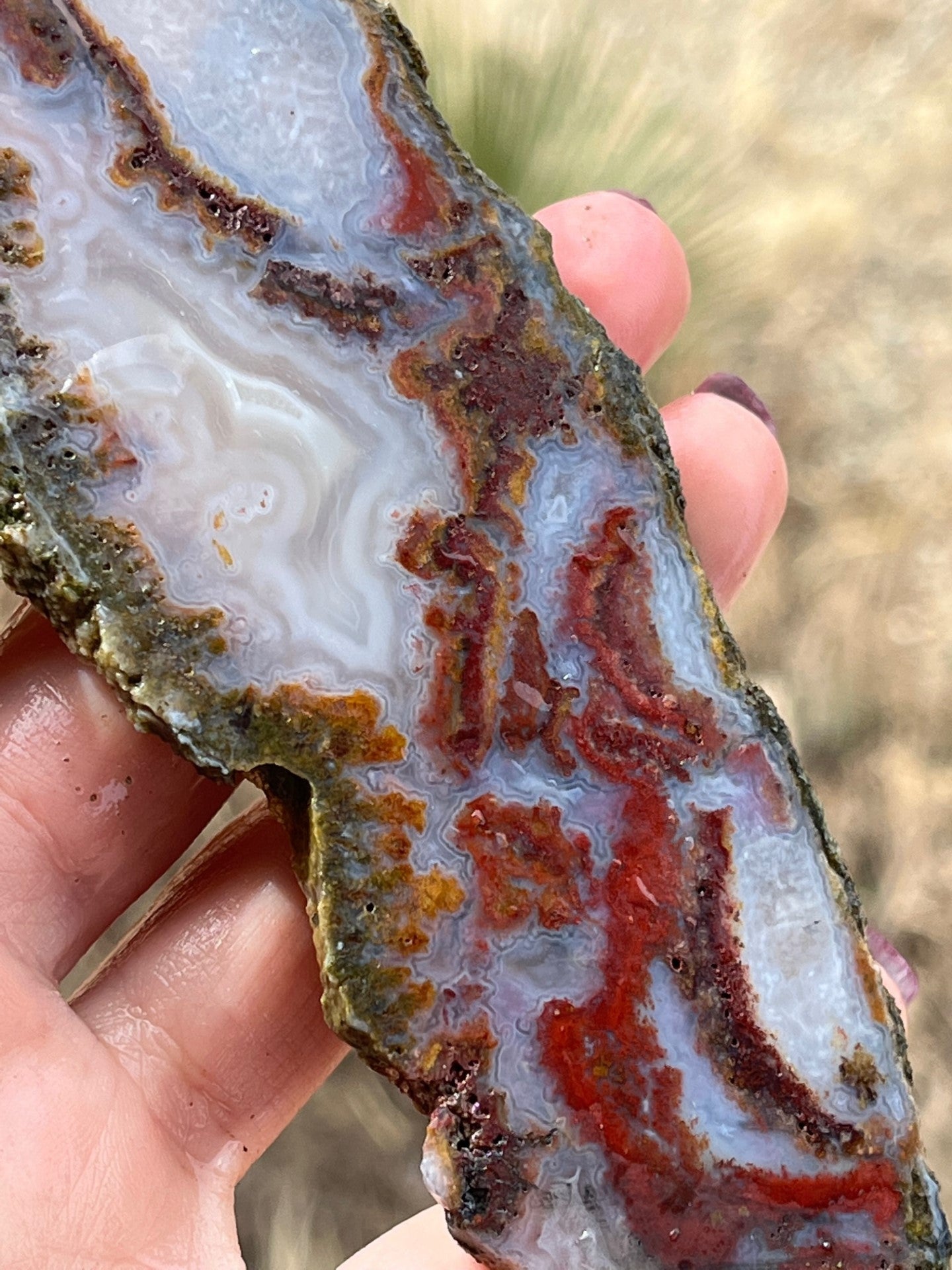 Moroccan agate lapidary slab red and white