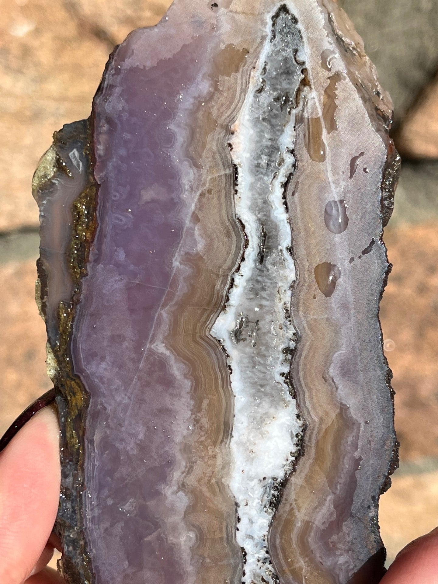 Aztec Lace Mexican Agate Slab rare