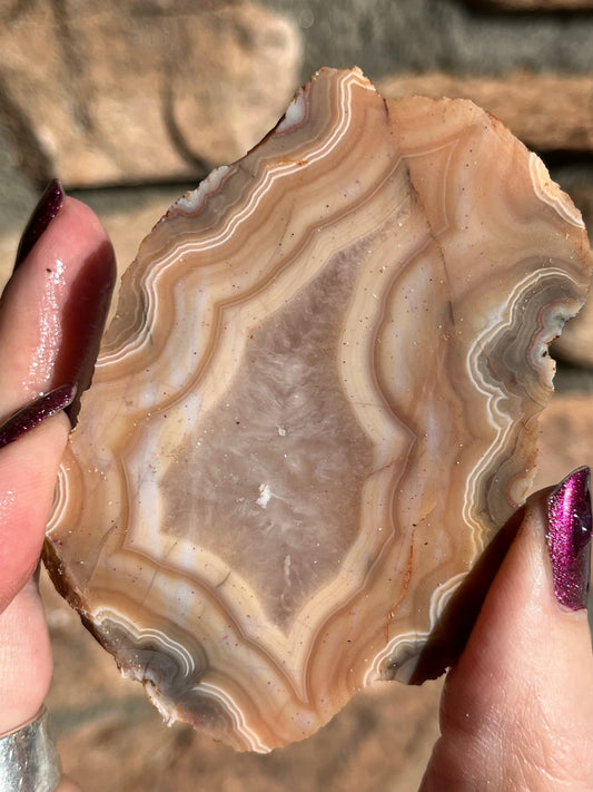 Milawi Agate Lapidary Slab orange and creme