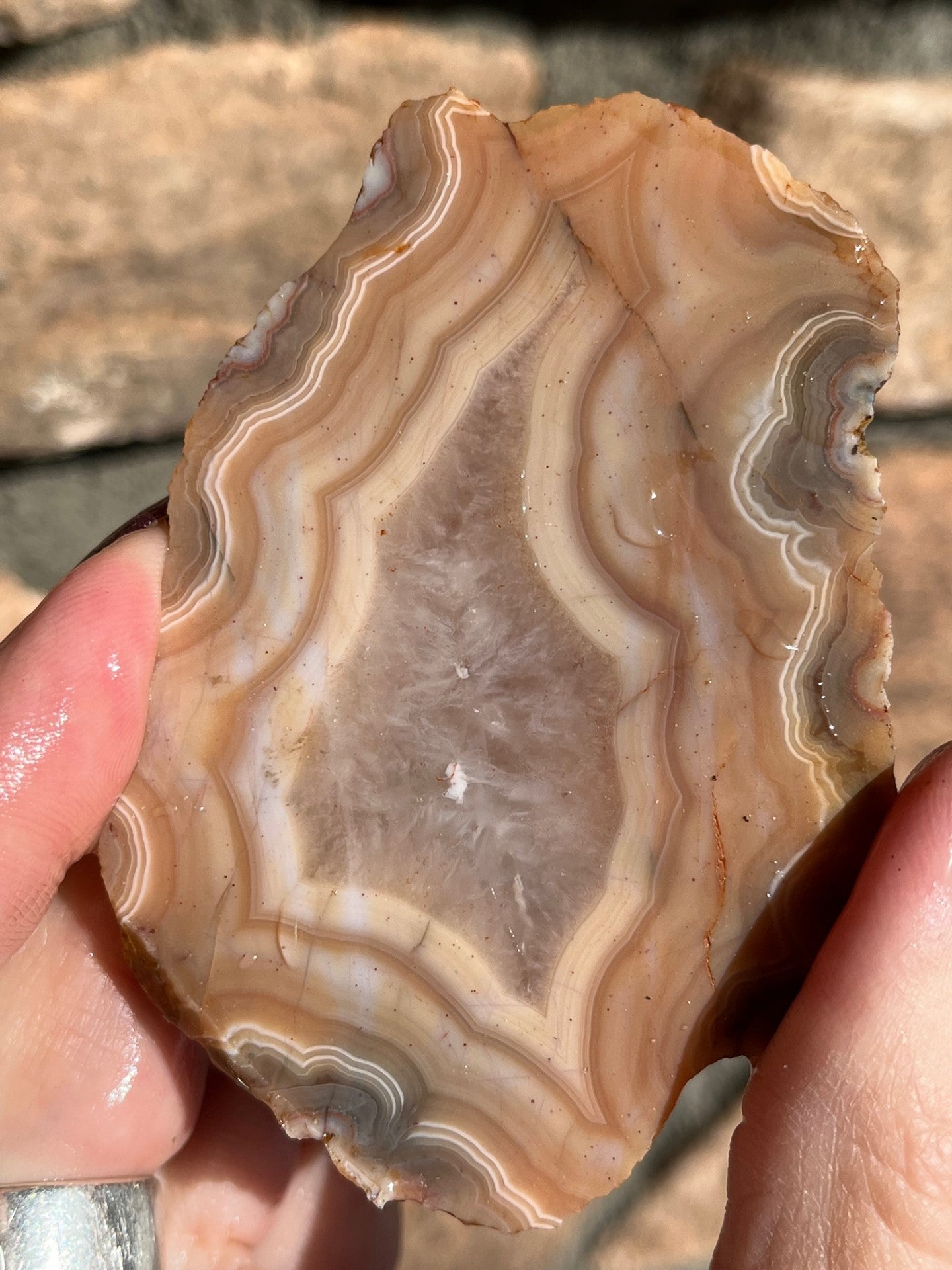 Milawi Agate Lapidary Slab orange and creme