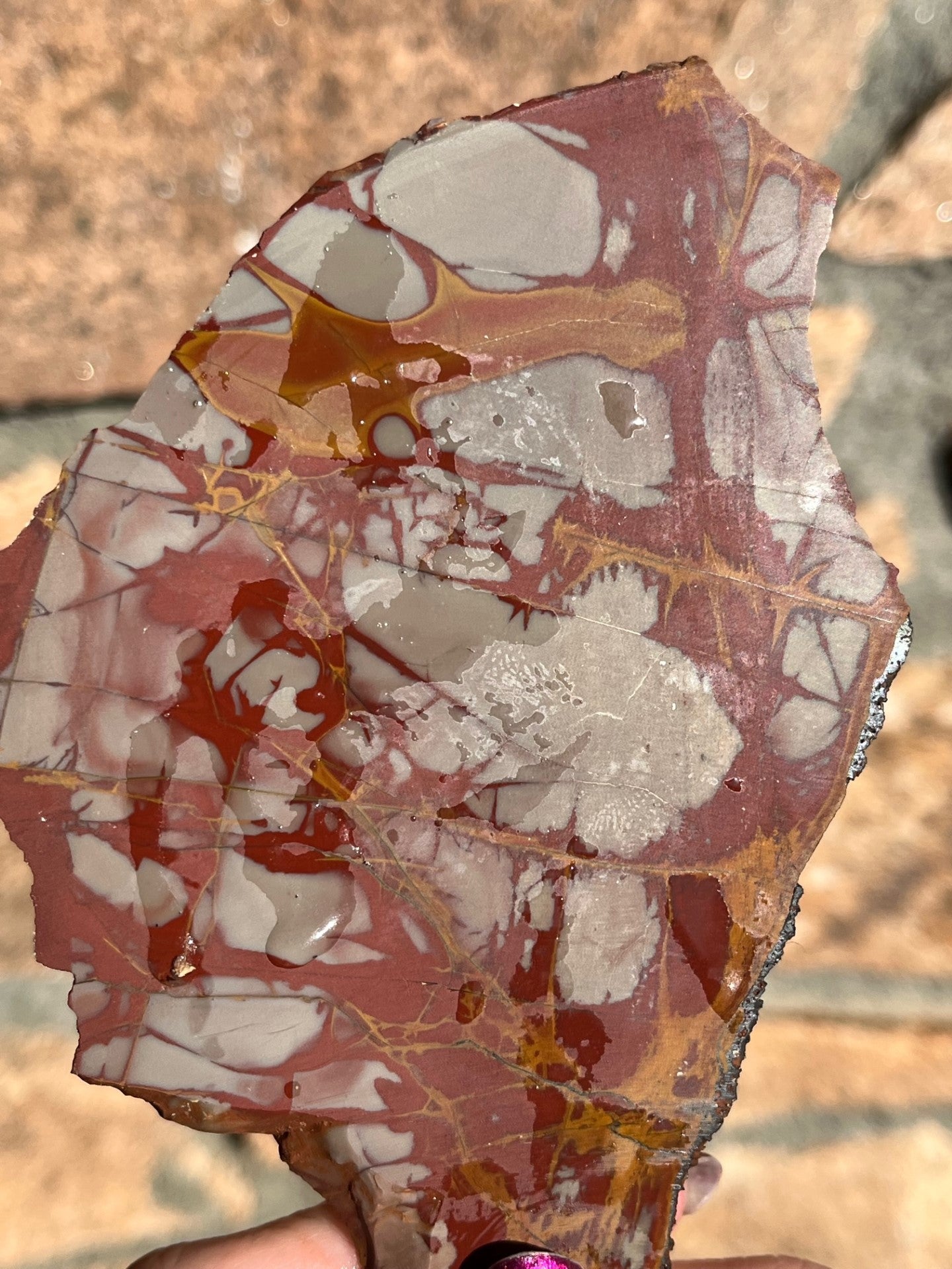 Noreena Jasper lapidary stone slab natural