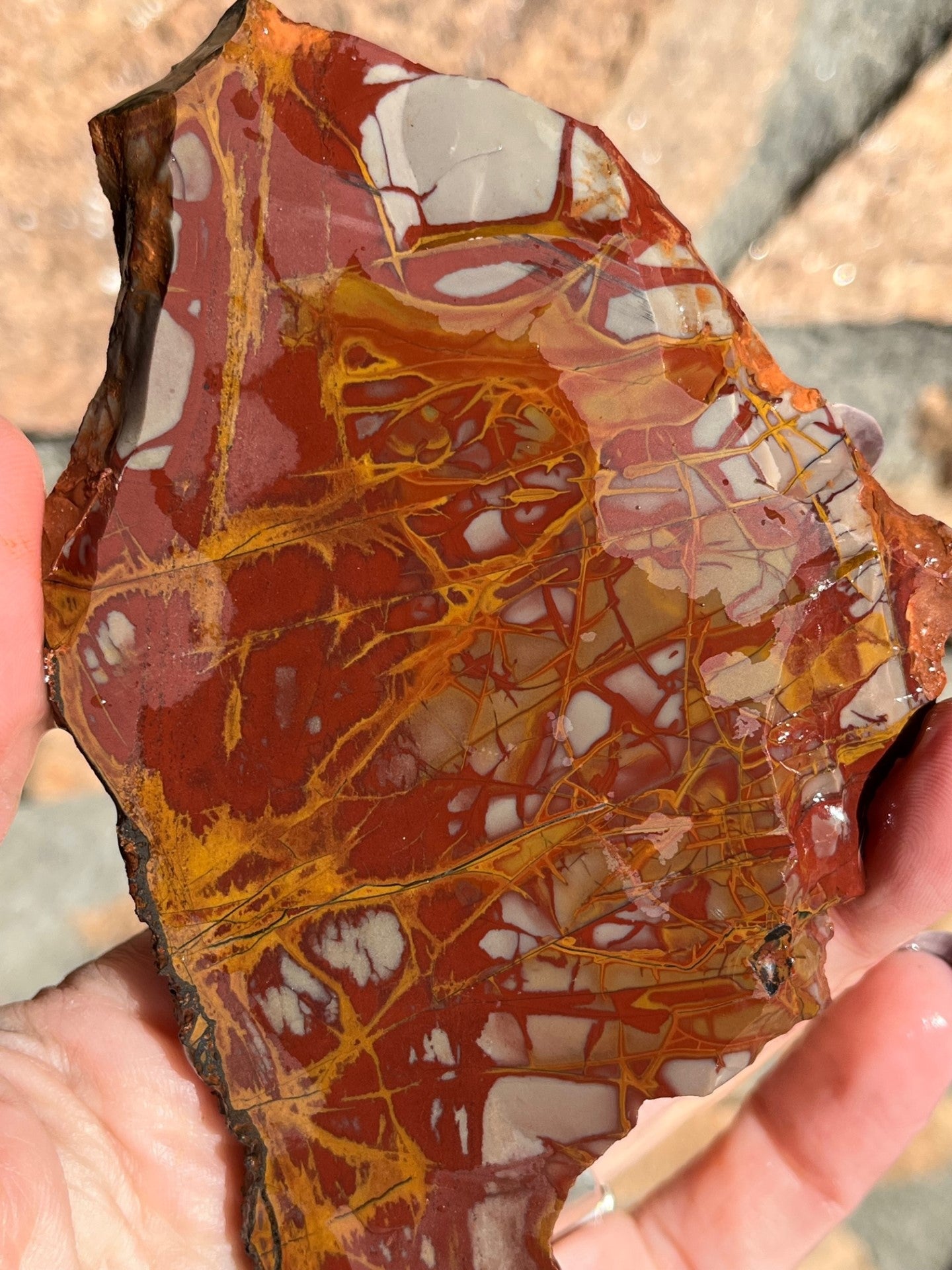 Noreena Jasper lapidary stone slab natural