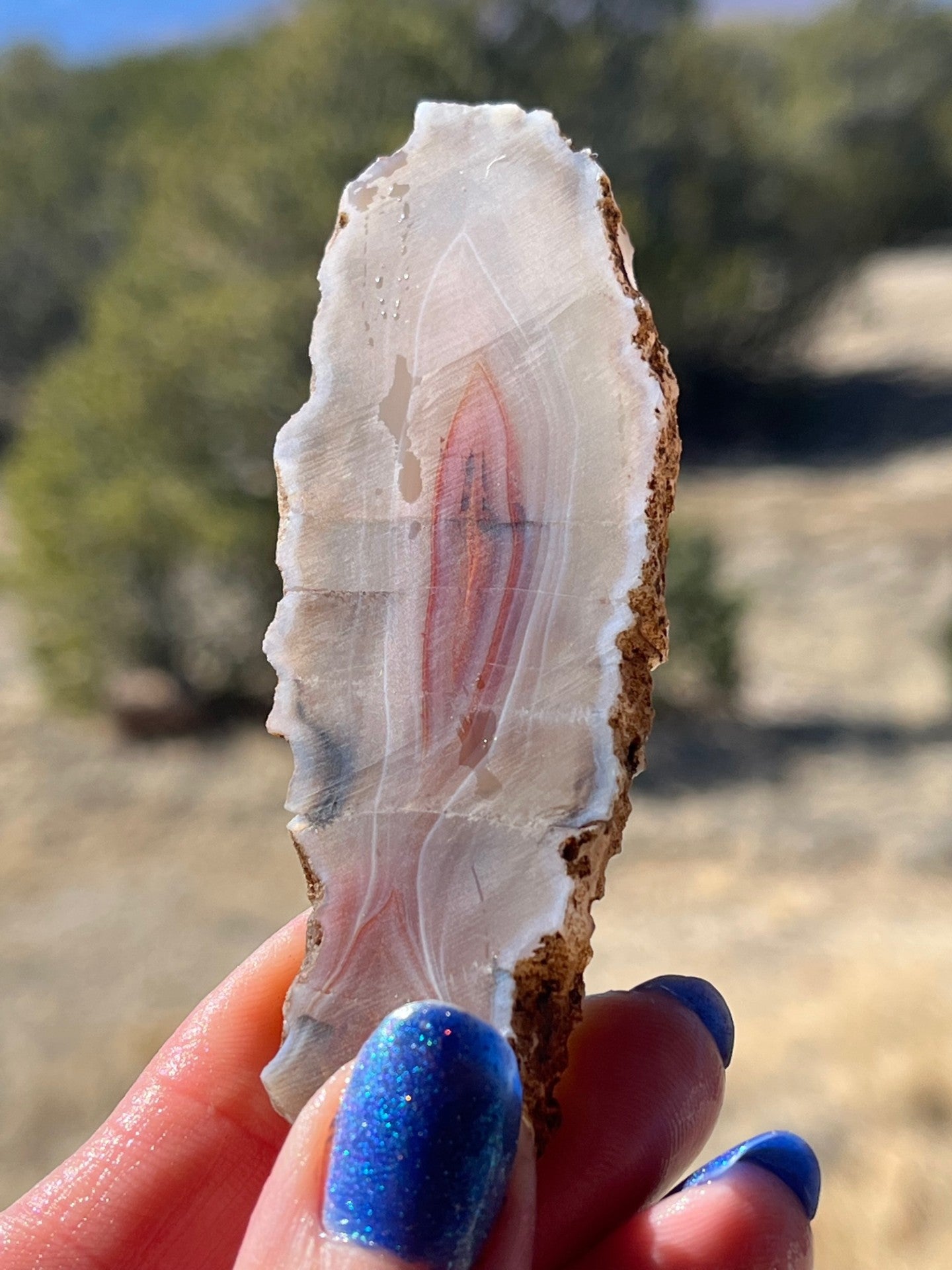 Milawi Agate lapidary slab stone