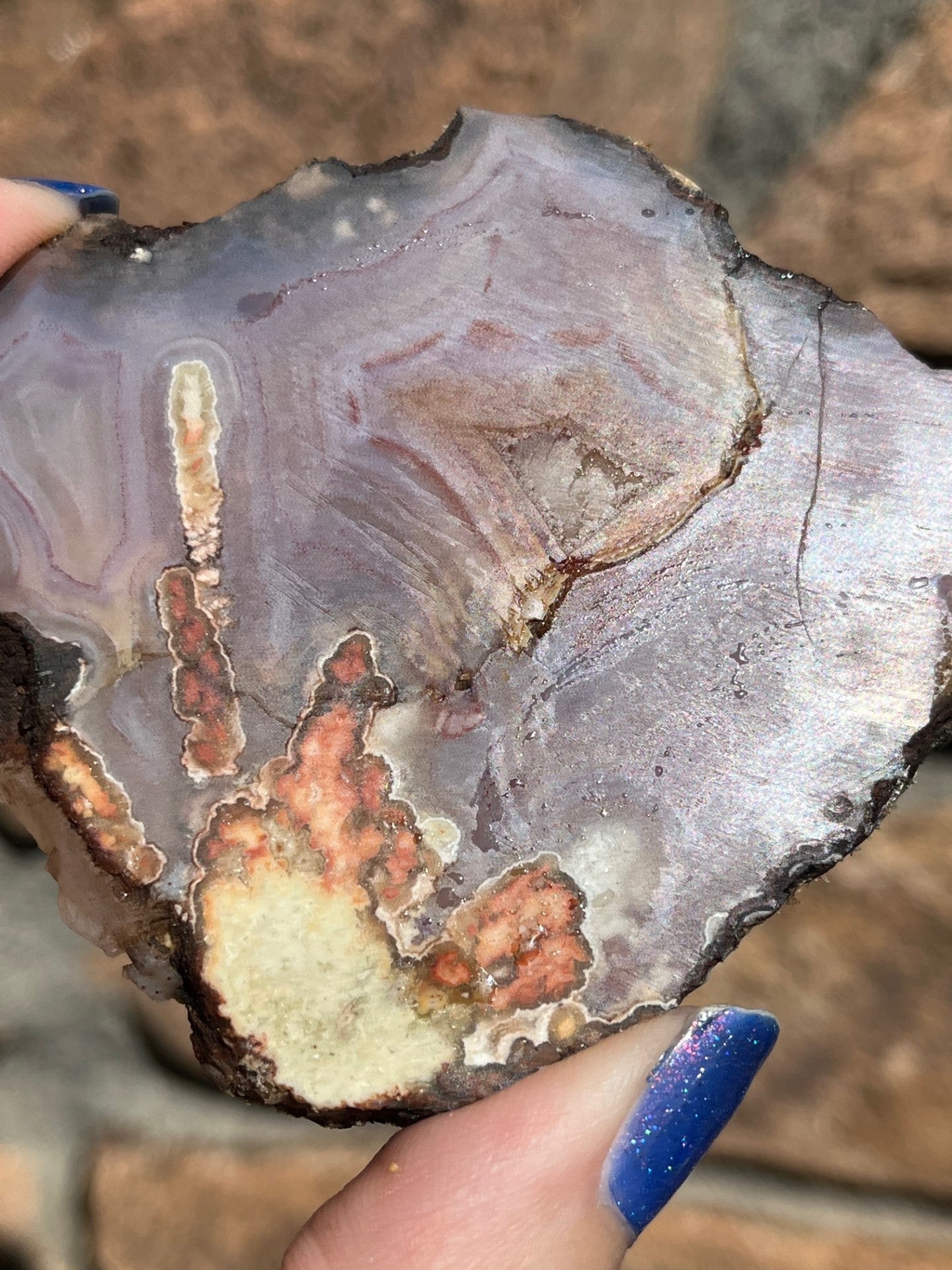 Laguna Lace Pseudomorph lapidary slab agate