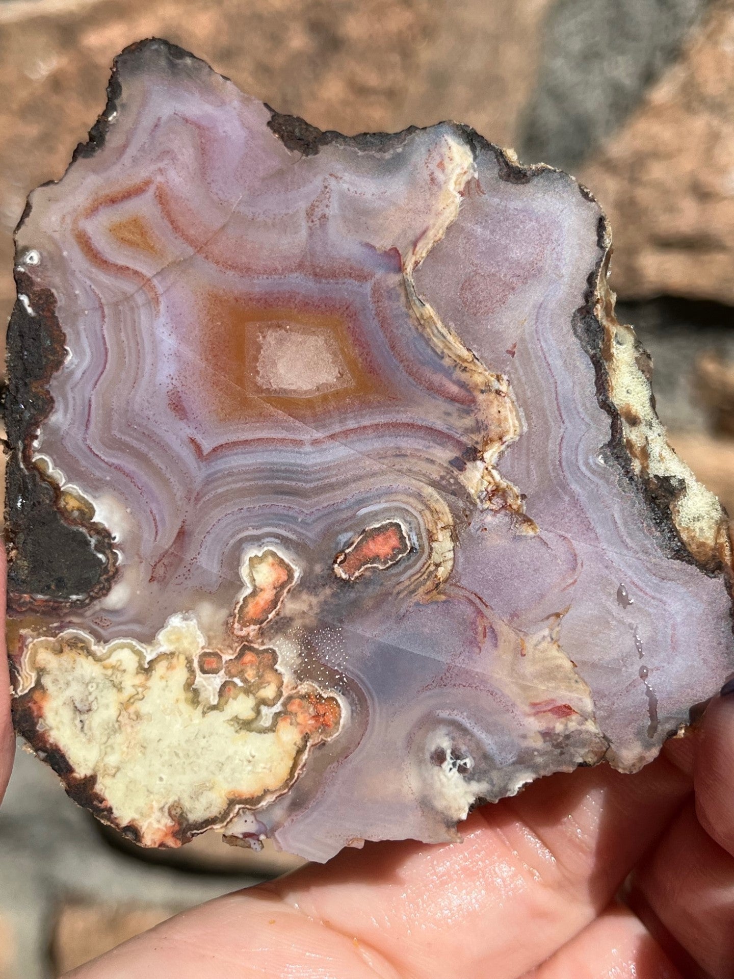 Laguna Lace Pseudomorph lapidary slab agate