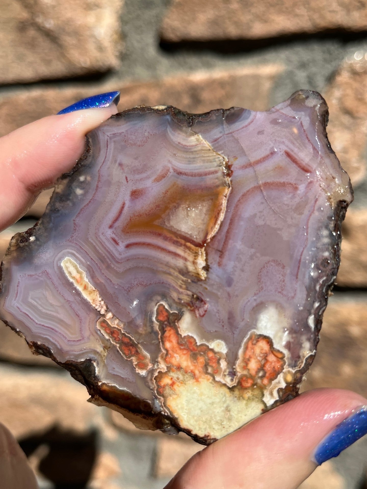 Laguna Lace Pseudomorph lapidary slab agate