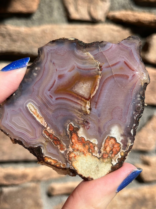 Laguna Lace Pseudomorph lapidary slab agate