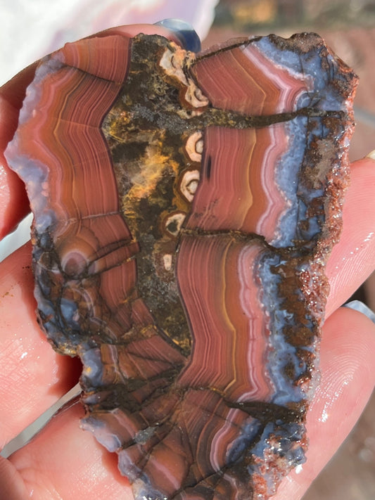 Laguna Agate lapidary slab red purple stone